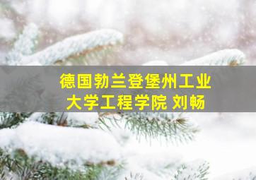 德国勃兰登堡州工业大学工程学院 刘畅